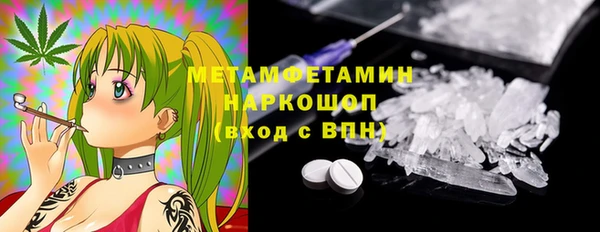 гидра Арсеньев