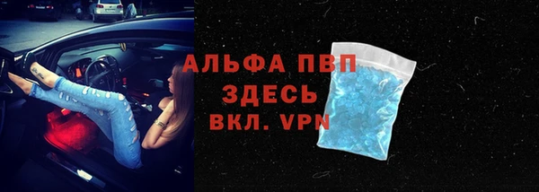гидра Арсеньев