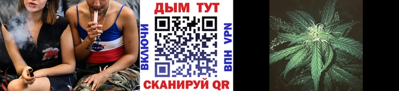 как найти наркотики  Истра  Канабис гибрид 